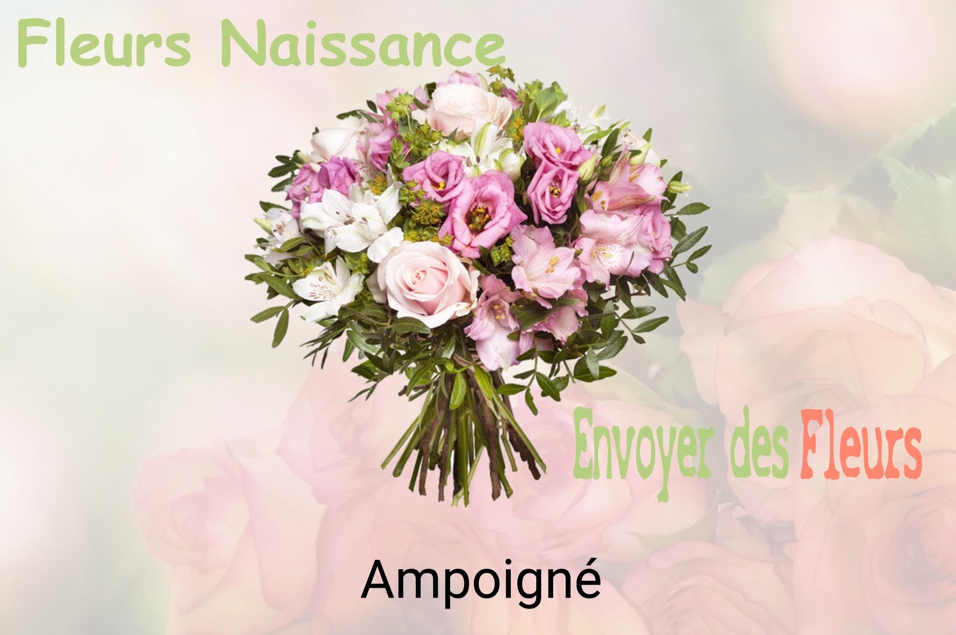 Bouquet de fleurs de naissance livré à Ampoigné